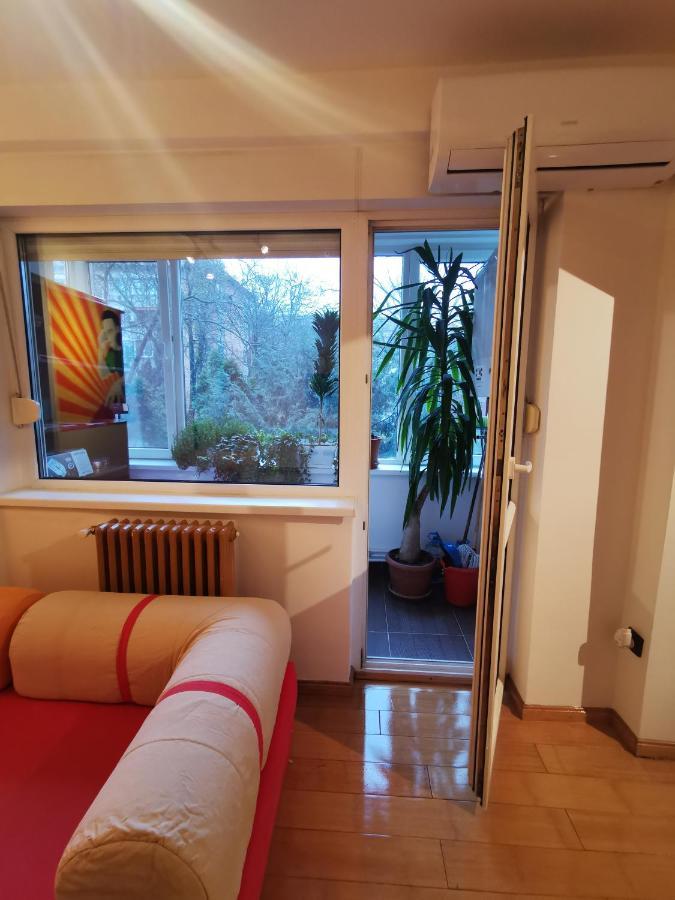 Comfy & Pleasant Apartment 10 Min Walk To Downtown Timișoara Zewnętrze zdjęcie