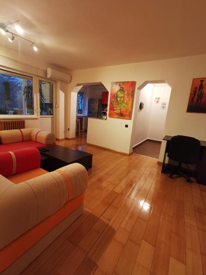 Comfy & Pleasant Apartment 10 Min Walk To Downtown Timișoara Zewnętrze zdjęcie