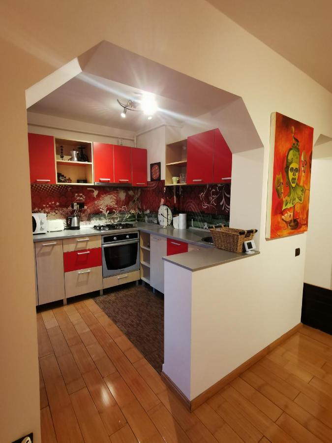 Comfy & Pleasant Apartment 10 Min Walk To Downtown Timișoara Zewnętrze zdjęcie