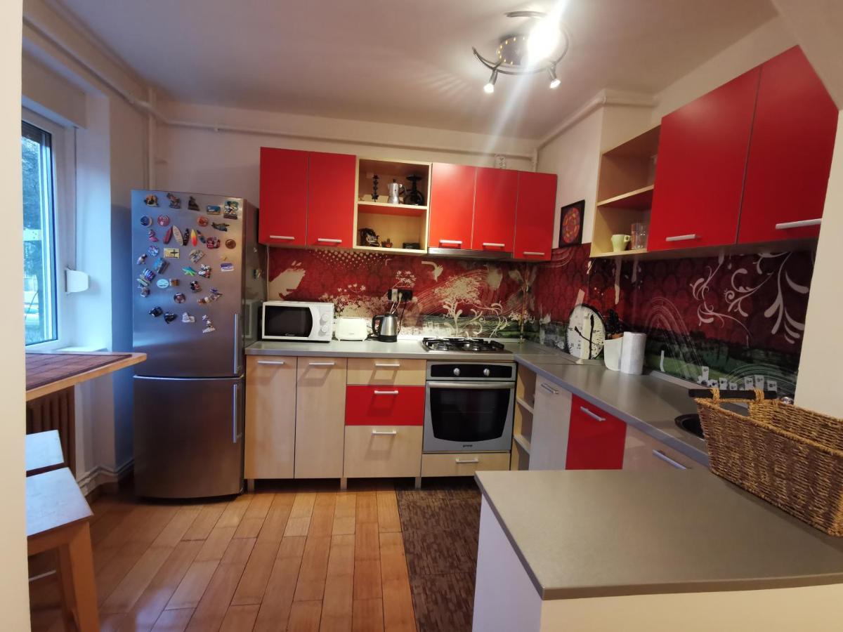 Comfy & Pleasant Apartment 10 Min Walk To Downtown Timișoara Zewnętrze zdjęcie