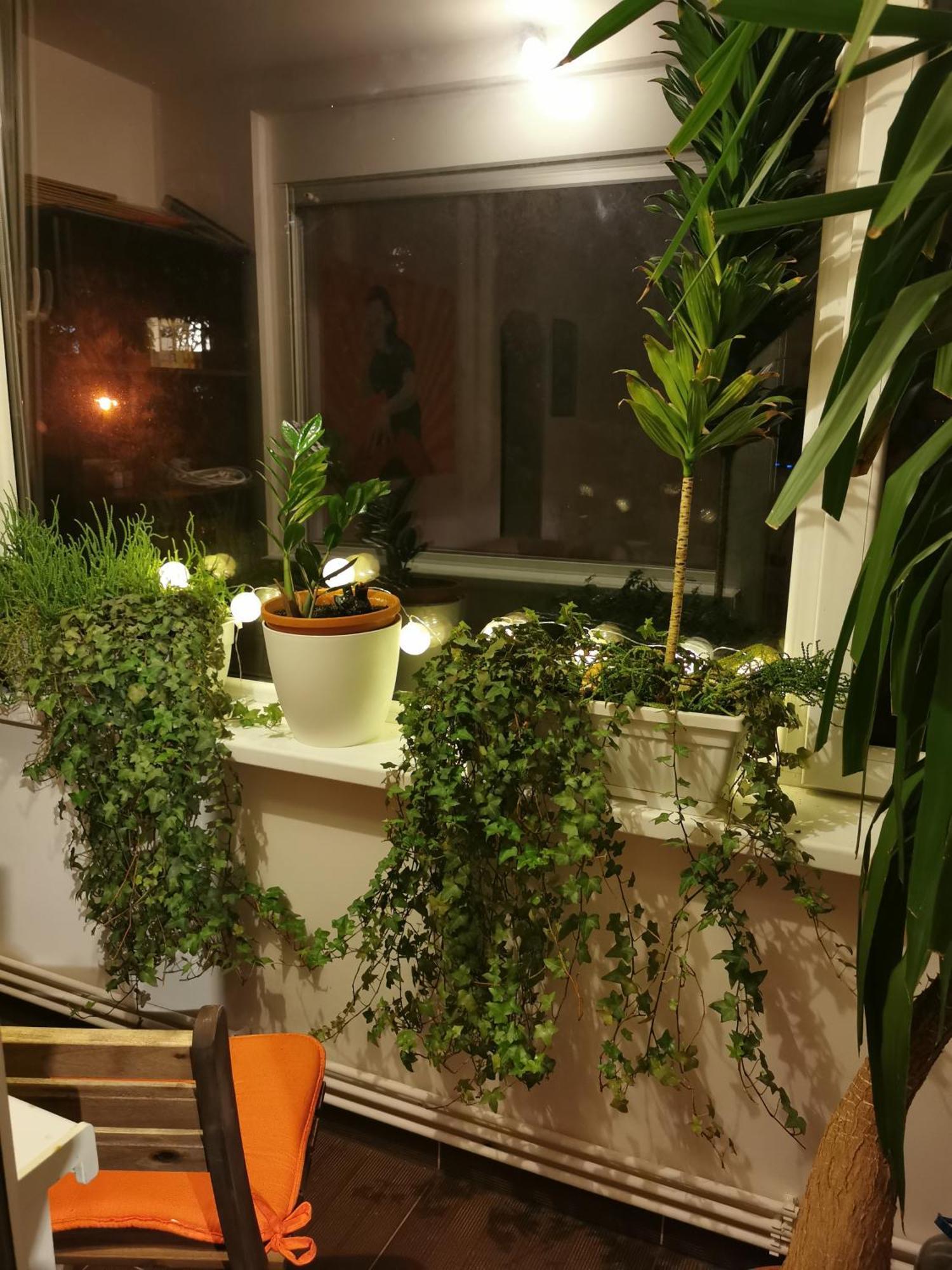 Comfy & Pleasant Apartment 10 Min Walk To Downtown Timișoara Zewnętrze zdjęcie