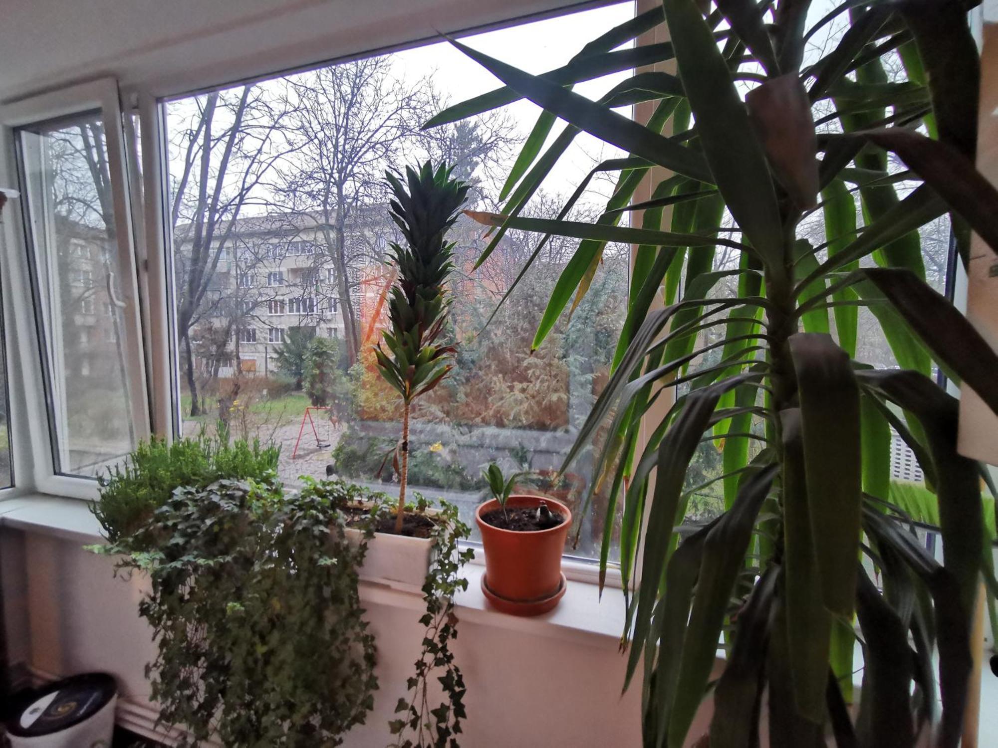 Comfy & Pleasant Apartment 10 Min Walk To Downtown Timișoara Zewnętrze zdjęcie
