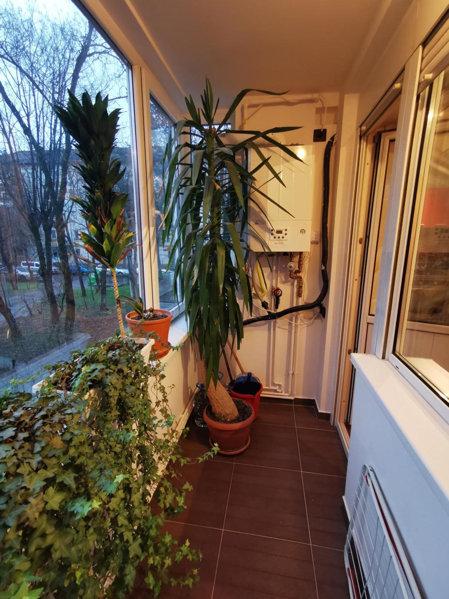 Comfy & Pleasant Apartment 10 Min Walk To Downtown Timișoara Zewnętrze zdjęcie