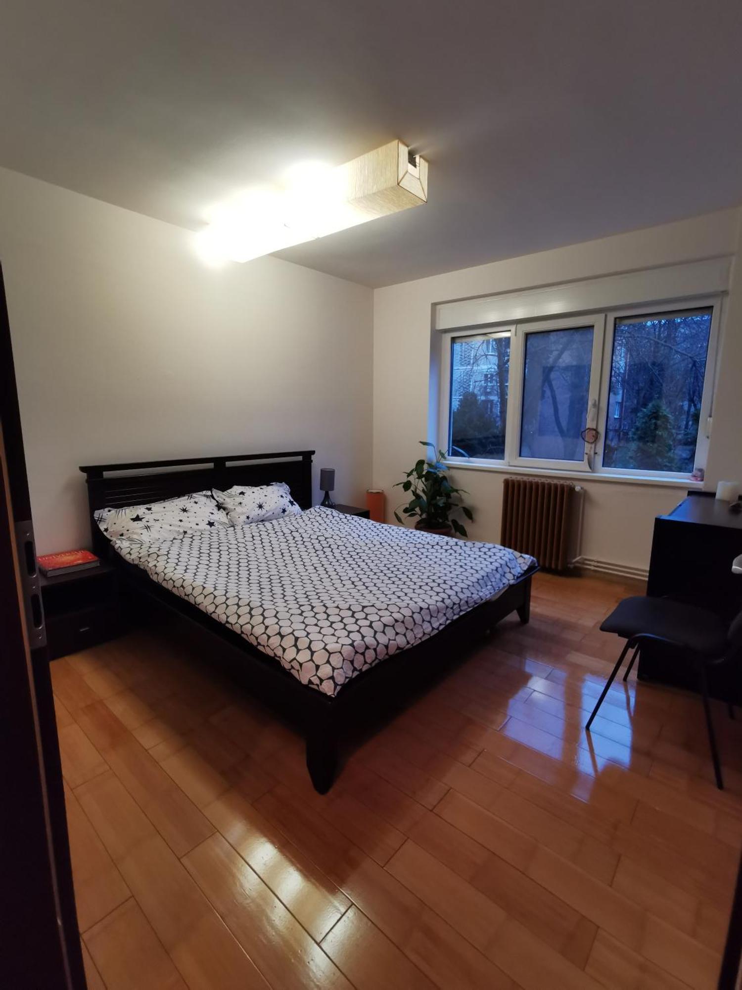 Comfy & Pleasant Apartment 10 Min Walk To Downtown Timișoara Zewnętrze zdjęcie